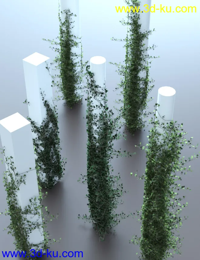Climbing Vines - Ivy Plants模型的图片8
