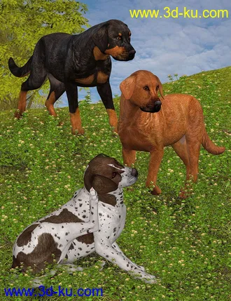 3D打印模型Coat Colors for the HiveWire Big Dog Set 2的图片