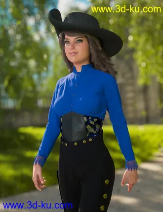 3D打印模型Corsair Fashion for Genesis 8 Female(s)的图片