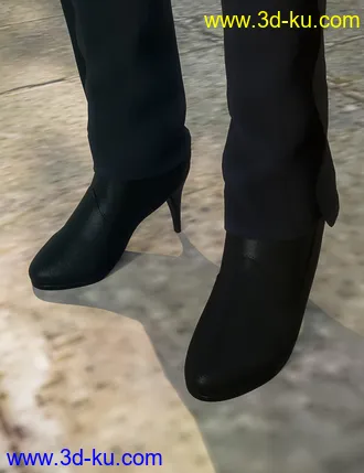 3D打印模型Corsair Fashion for Genesis 8 Female(s)的图片