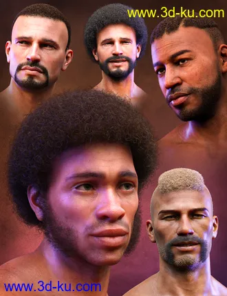 3D打印模型Curly Hair and Facial Hair for Genesis 8 Males的图片