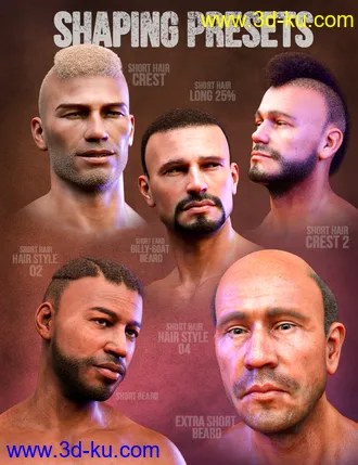 3D打印模型Curly Hair and Facial Hair for Genesis 8 Males的图片