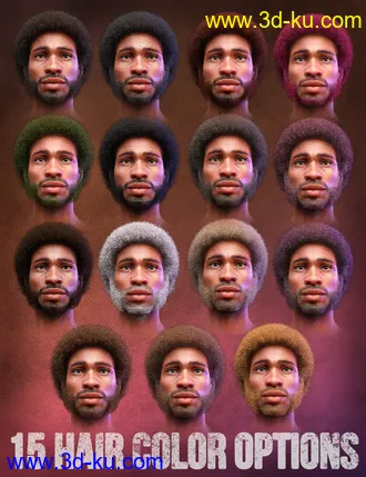 3D打印模型Curly Hair and Facial Hair for Genesis 8 Males的图片