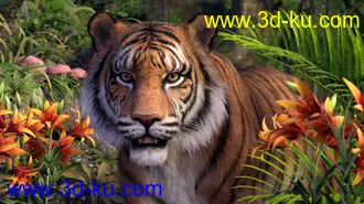 3D打印模型CWRW HW Tiger LAMH Preset 1的图片