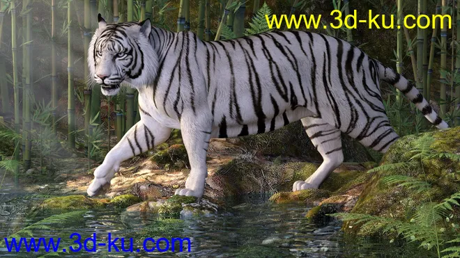 CWRW White Tigers for the HiveWire Tiger模型的图片1