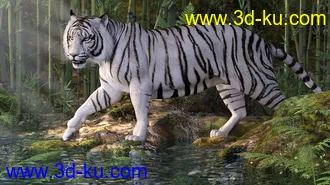 3D打印模型CWRW White Tigers for the HiveWire Tiger的图片