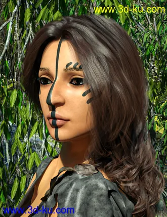 3D打印模型D.E.M. Painted Tribal Makeup for Genesis 8 Female的图片
