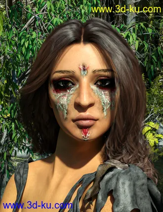 3D打印模型D.E.M. Painted Tribal Makeup for Genesis 8 Female的图片