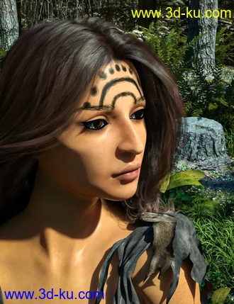 3D打印模型D.E.M. Painted Tribal Makeup for Genesis 8 Female的图片