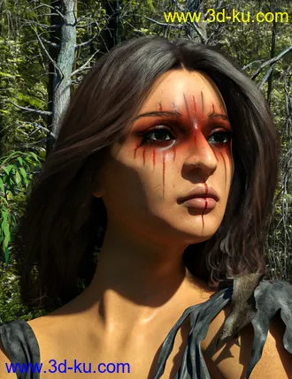 3D打印模型D.E.M. Painted Tribal Makeup for Genesis 8 Female的图片