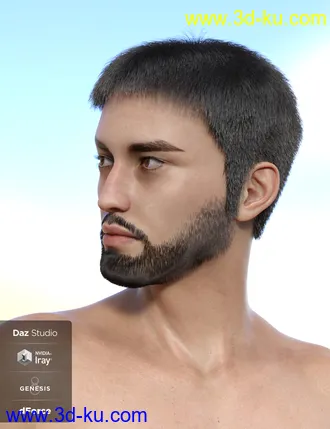 3D打印模型dForce Casual Hair and Beard for Genesis 8 Male(s)的图片