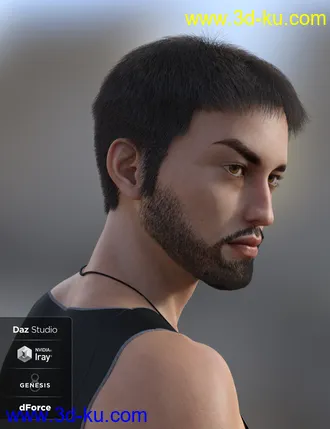 3D打印模型dForce Casual Hair and Beard for Genesis 8 Male(s)的图片