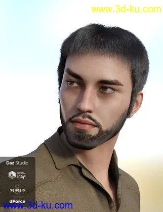 3D打印模型dForce Casual Hair and Beard for Genesis 8 Male(s)的图片