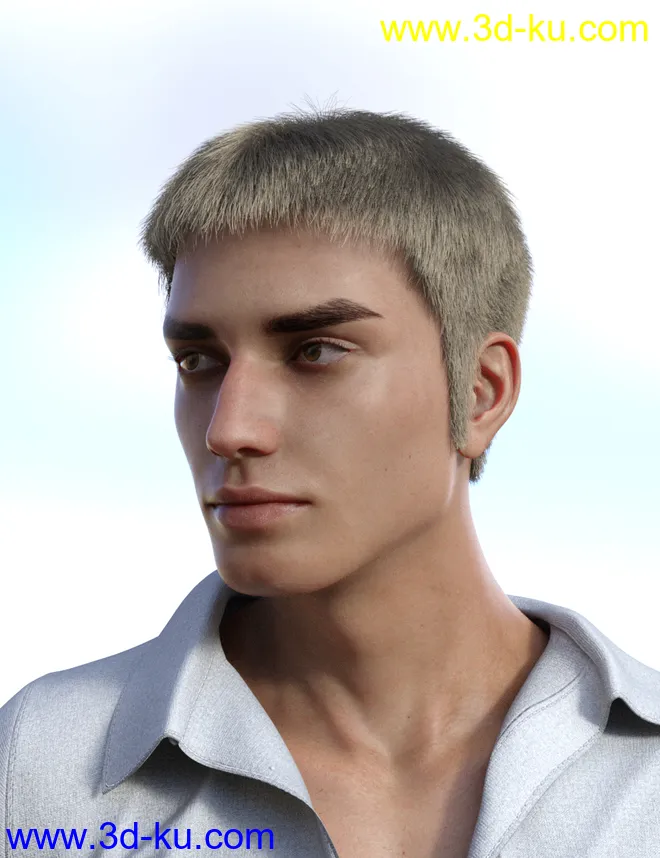dForce Casual Hair and Beard for Genesis 8 Male(s)模型的图片9