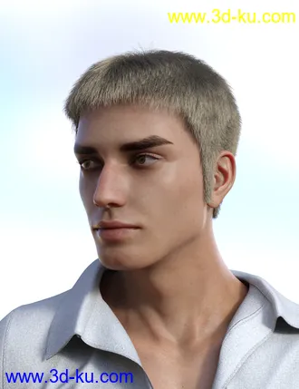 3D打印模型dForce Casual Hair and Beard for Genesis 8 Male(s)的图片