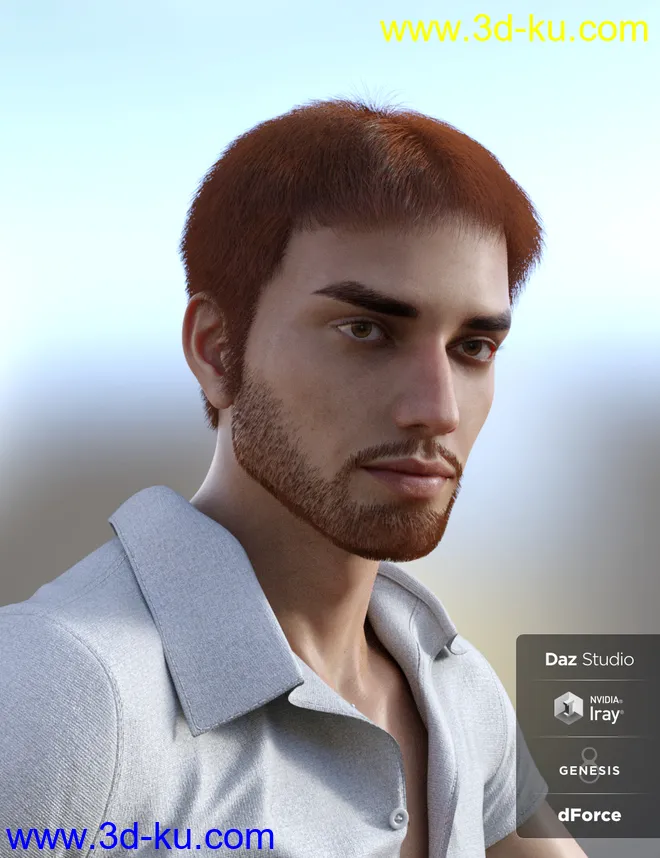 dForce Casual Hair and Beard for Genesis 8 Male(s)模型的图片11