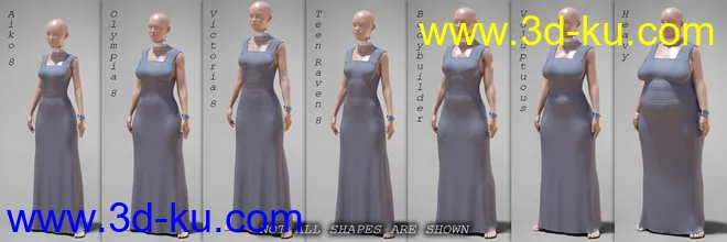 dForce COG Evening Dress for Genesis 8 Female(s)模型的图片8