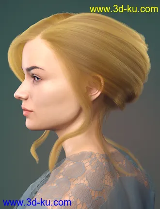 3D打印模型dForce French Twist Updo for Genesis 8 Females的图片