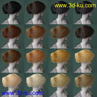 3D打印模型dForce French Twist Updo for Genesis 8 Females的图片
