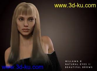 3D打印模型dforce Fringe Benefits Hair for Genesis 3 and 8.1 Female的图片
