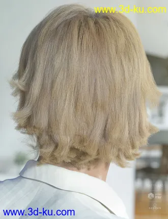3D打印模型dForce Greyson Hair for Genesis 8的图片