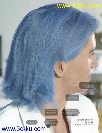 3D打印模型dForce Greyson Hair for Genesis 8的图片