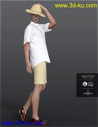 3D打印模型dForce H&C Summer Casual Outfits for Genesis 8 Male(s)的图片