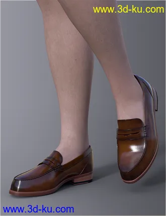 3D打印模型dForce H&C Summer Casual Outfits for Genesis 8 Male(s)的图片