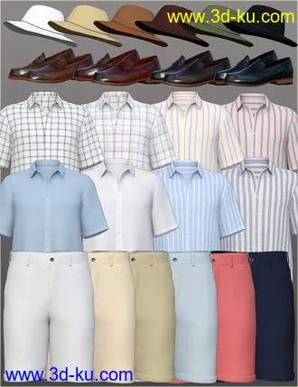 3D打印模型dForce H&C Summer Casual Outfits for Genesis 8 Male(s)的图片