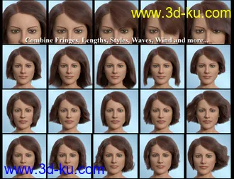 3D打印模型dForce Lynette Hair for Genesis 8 Females的图片