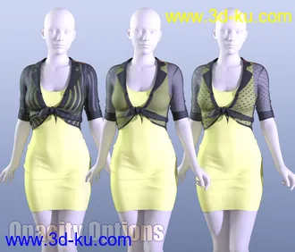 3D打印模型dForce Meet Me at Noon Outfit for Genesis 8 Female(s)的图片