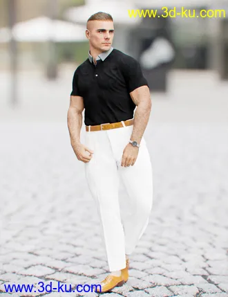 3D打印模型dForce MI Casual Outfit for Genesis 8 Male(s)的图片