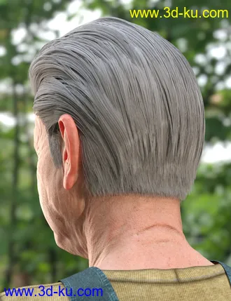 3D打印模型dForce Mid-Life Bachelor Hair for Genesis 8 Male的图片