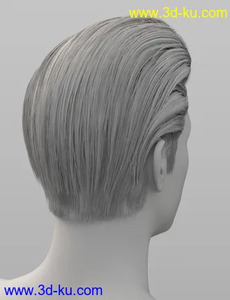 3D打印模型dForce Mid-Life Bachelor Hair for Genesis 8 Male的图片