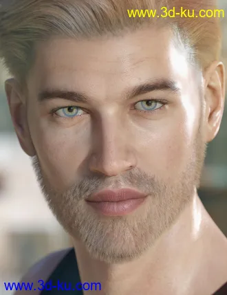 3D打印模型dForce Myles Beard for Genesis 8 Male(s)的图片
