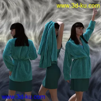 3D打印模型dForce Soft Sweaters Outfit for Genesis 8 Female的图片
