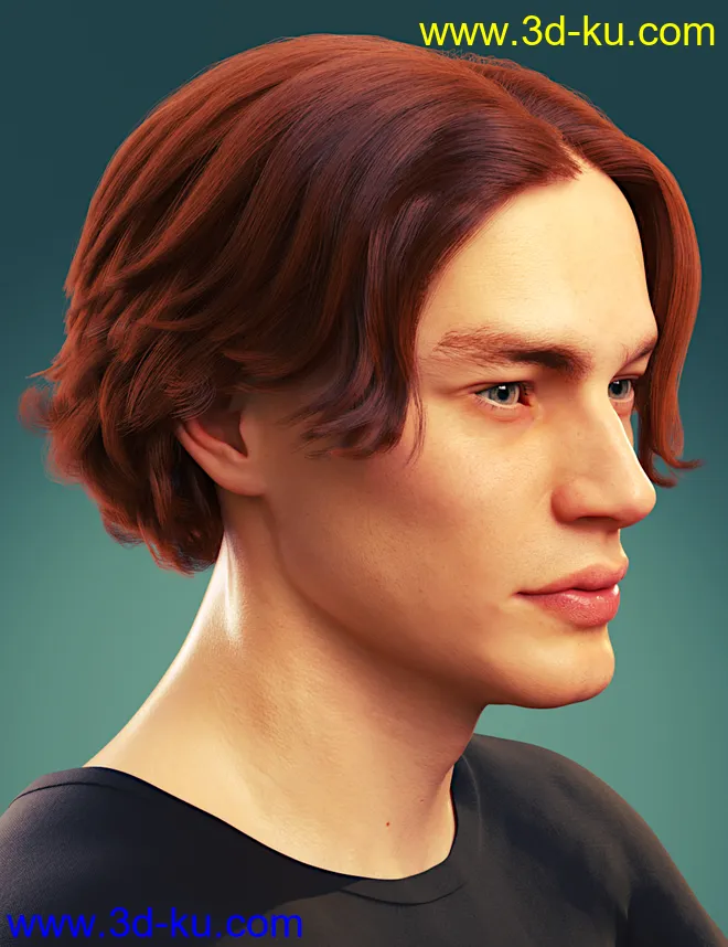 dforce Timothee Hair for Genesis 8 and 8.1 Males and Torment 8.1模型的图片1