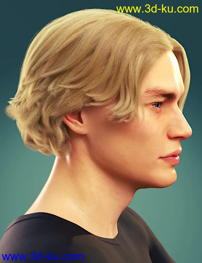 dforce Timothee Hair for Genesis 8 and 8.1 Males and Torment 8.1模型的图片2