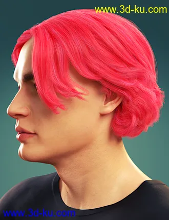 3D打印模型dforce Timothee Hair for Genesis 8 and 8.1 Males and Torment 8.1的图片