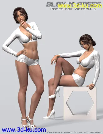 3D打印模型DM's Blox 'n Poses的图片