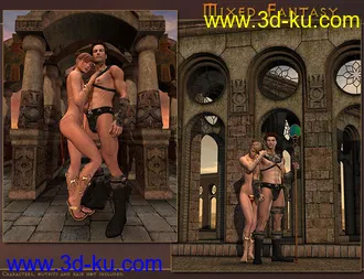 3D打印模型DMs Mixed Fantasy的图片