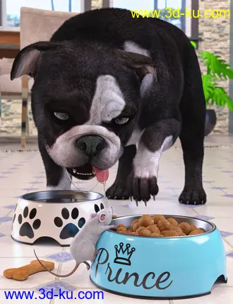 3D打印模型Dog Bowl Props的图片