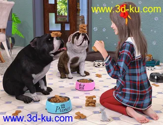 3D打印模型Dog Bowl Props的图片