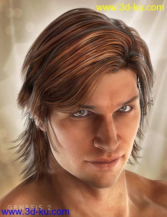 Drifter Hair for Genesis 2 Male(s)模型的图片1
