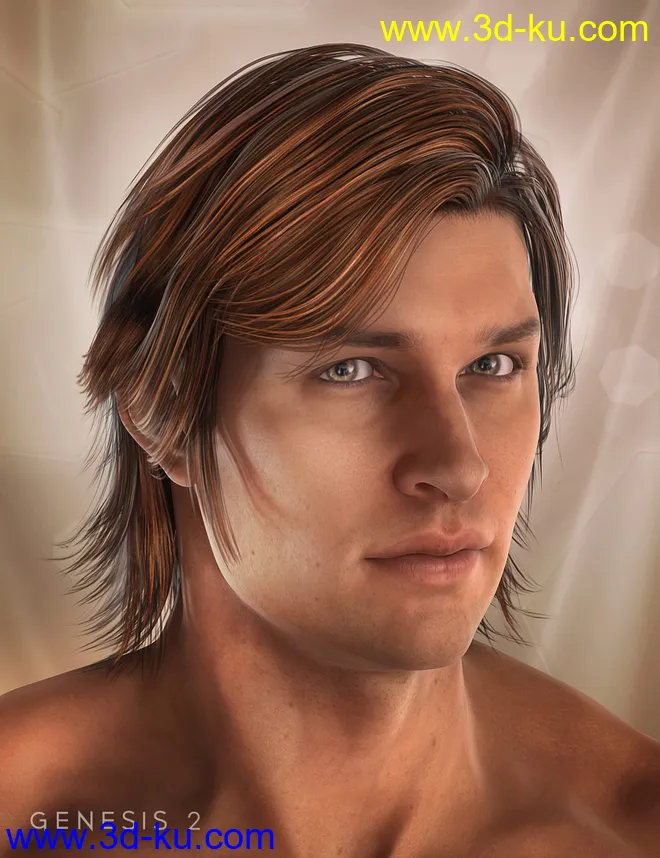Drifter Hair for Genesis 2 Male(s)模型的图片2
