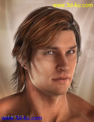 3D打印模型Drifter Hair for Genesis 2 Male(s)的图片