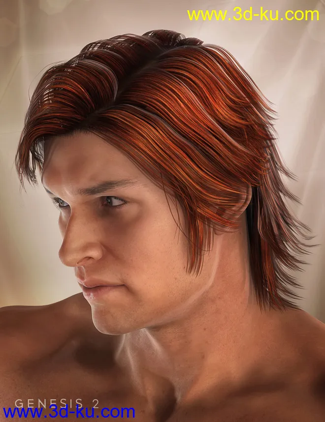 Drifter Hair for Genesis 2 Male(s)模型的图片3