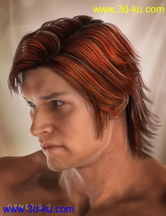 3D打印模型Drifter Hair for Genesis 2 Male(s)的图片