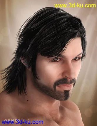 3D打印模型Drifter Hair for Genesis 2 Male(s)的图片