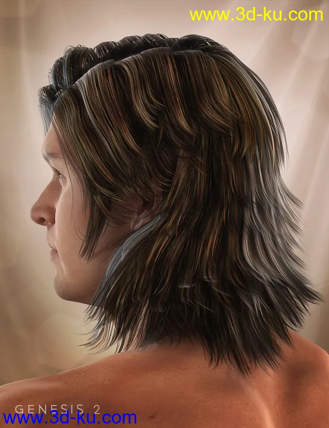Drifter Hair for Genesis 2 Male(s)模型的图片5